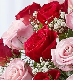 Ultimate Elegance™ Long Stem Pink & Red Roses -Gift Promotion Store 100276alt viewc