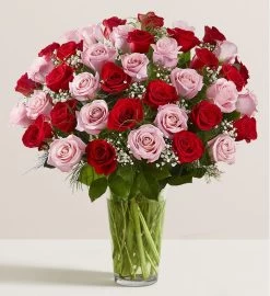 Ultimate Elegance™ Long Stem Pink & Red Roses