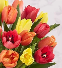 Assorted Fall Tulips 10 Assorted Fall Tulips -Gift Promotion Store 103628alt view1c