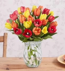 Assorted Fall Tulips 13 Assorted Fall Tulips -Gift Promotion Store 103628mclsv1x