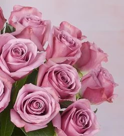 Passion For Purple Roses -Gift Promotion Store 104518alt viewc