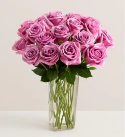 Passion For Purple Roses -Gift Promotion Store 104518mv2x