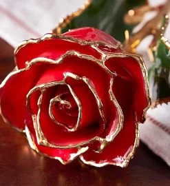 Enchanting 24K Gold Dipped Rose -Gift Promotion Store 155097alt viewc