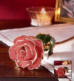 Enchanting 24K Gold Dipped Rose -Gift Promotion Store 155097pkinsetx