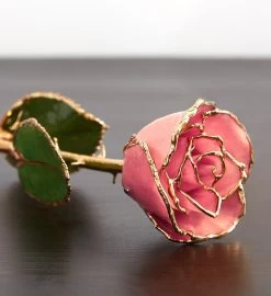 Enchanting 24K Gold Dipped Rose -Gift Promotion Store 155097pnk alt view1c