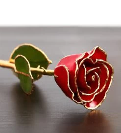 Enchanting 24K Gold Dipped Rose -Gift Promotion Store 155097rdb alt view1c