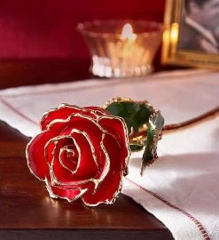 Enchanting 24K Gold Dipped Rose -Gift Promotion Store 155097x
