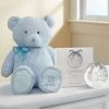 Blue My First Teddy By Gund® With Hand Print Kit -Gift Promotion Store 155585bhpx