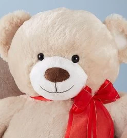Lotsa Love® Big Bear™ For Birthday -Gift Promotion Store 155820alt view3c