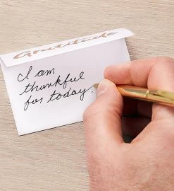 The Gratitude Jar -Gift Promotion Store 156706alt view2c