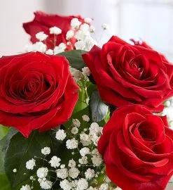 Rose Elegance™ Premium Long Stem Red Roses 8 Rose Elegance™ Premium Long Stem Red Roses -Gift Promotion Store 161776alt viewc