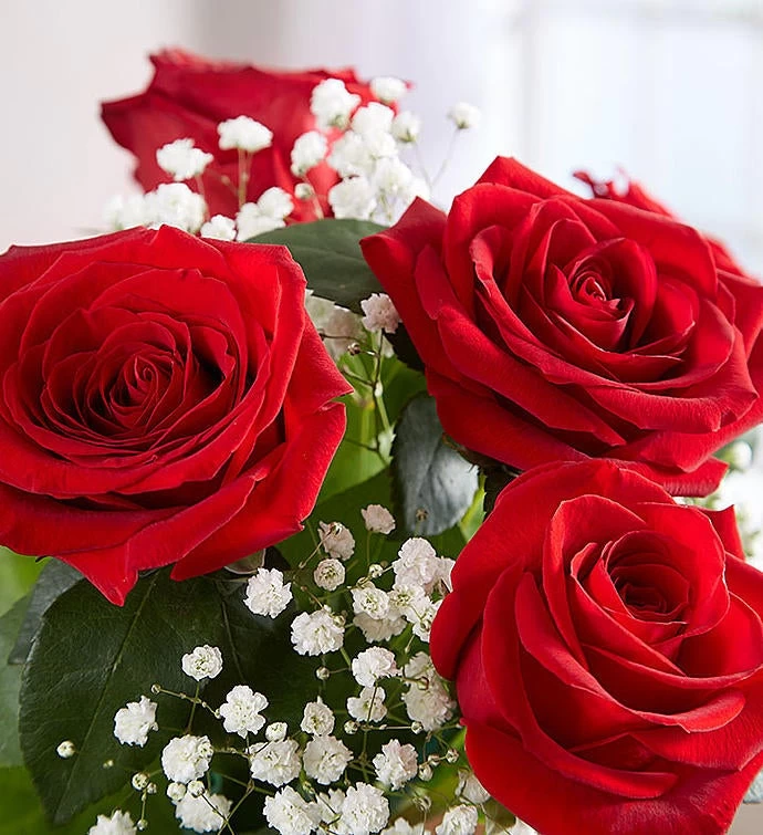 Rose Elegance™ Premium Long Stem Red Roses 5 Rose Elegance™ Premium Long Stem Red Roses - Image 3