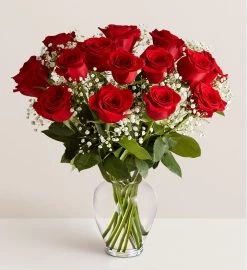 Rose Elegance™ Premium Long Stem Red Roses