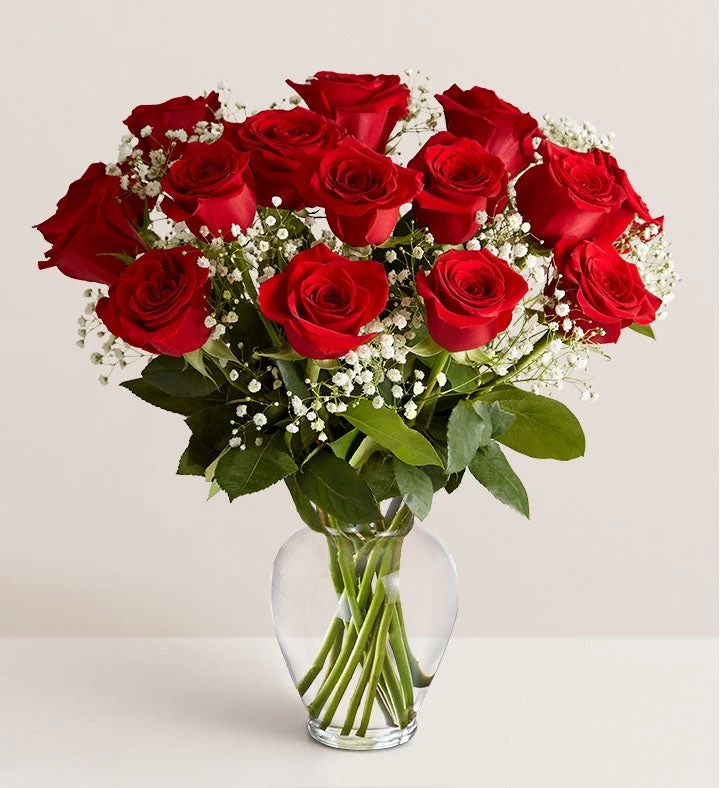 Rose Elegance™ Premium Long Stem Red Roses 3 Rose Elegance™ Premium Long Stem Red Roses