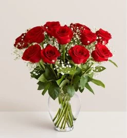 Rose Elegance™ Premium Long Stem Red Roses 9 Rose Elegance™ Premium Long Stem Red Roses -Gift Promotion Store 161776sx