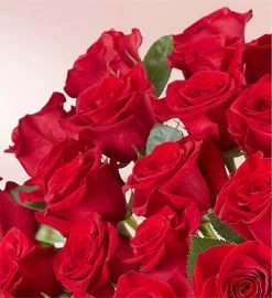 100 Premium Long Stem Red Roses -Gift Promotion Store 163009alt viewc