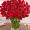 100 Premium Long Stem Red Roses -Gift Promotion Store 163009x