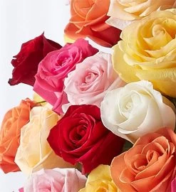 100 Premium Long Stem Assorted Roses 8 100 Premium Long Stem Assorted Roses -Gift Promotion Store 163010alt viewc