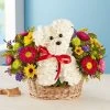 A-DOG-able® In A Basket -Gift Promotion Store 174311x