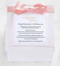 Magnificent Roses® Preserved Pink Rose -Gift Promotion Store 177503alt view2c