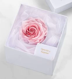 Magnificent Roses® Preserved Pink Rose -Gift Promotion Store 177503alt view3c