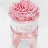 Magnificent Roses® Preserved Pink Rose -Gift Promotion Store 177503spkx