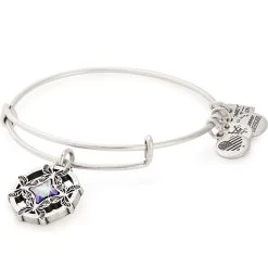 Alex & Ani Wings Of Change Bangle