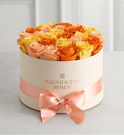 Magnificent Roses® Preserved Citrus Roses -Gift Promotion Store 177703lcsx