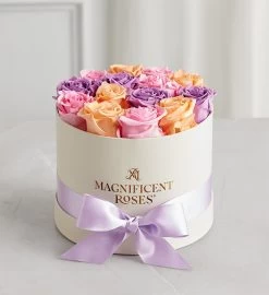 Magnificent Roses® Preserved Sorbet Roses -Gift Promotion Store 177704ssbx