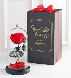Enchanted Beauty™ By Magnificent Roses® 8 Enchanted Beauty™ By Magnificent Roses® -Gift Promotion Store 177892rdx 1