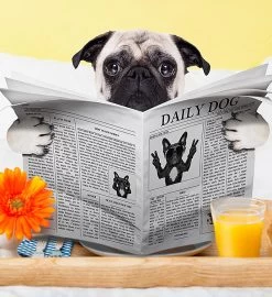 Breakfast Box Of Treats