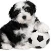 Game Time Treats For Your Dog -Gift Promotion Store 180322x