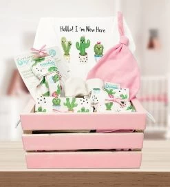 Dino Days Blanket And Teether Gift Set -Gift Promotion Store 180999 alt2 newc
