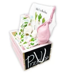 Dino Days Blanket And Teether Gift Set -Gift Promotion Store 180999 newx