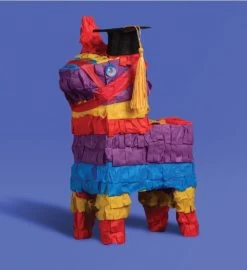 Graduation Piñatagram -Gift Promotion Store 182191alt1x 2