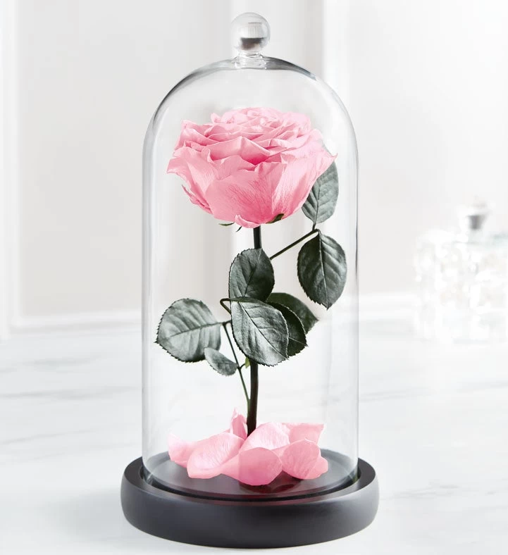 Enchanted Beauty™ By Magnificent Roses® Pink 6 Enchanted Beauty™ By Magnificent Roses® Pink - Image 4