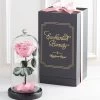 Enchanted Beauty™ By Magnificent Roses® Pink -Gift Promotion Store 182682x