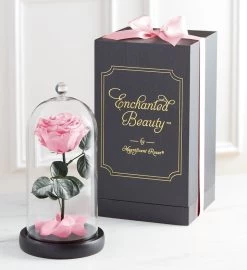 Enchanted Beauty™ By Magnificent Roses® Pink 11 Enchanted Beauty™ By Magnificent Roses® Pink -Gift Promotion Store 182682x 2