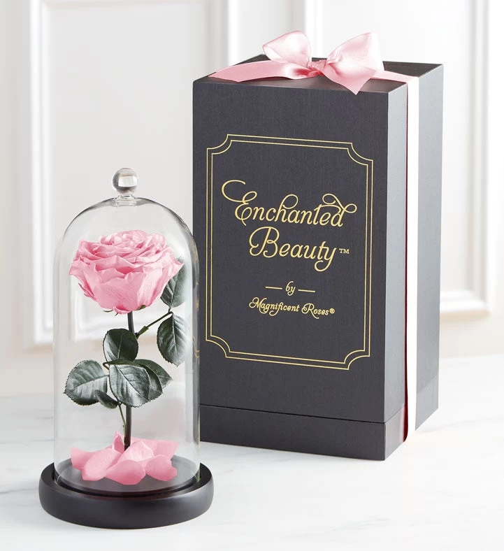 Enchanted Beauty™ By Magnificent Roses® Pink 3 Enchanted Beauty™ By Magnificent Roses® Pink