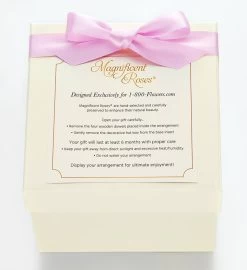 Magnificent Roses® Preserved Purple Reflection -Gift Promotion Store 182683spralt view2c 1