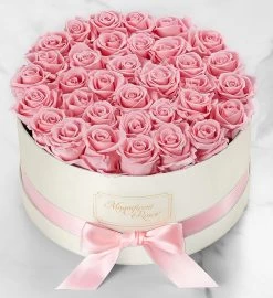 Magnificent Roses® Preserved Pink Perfection -Gift Promotion Store 182690xlpkx 3