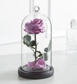 Enchanted Beauty™ By Magnificent Roses® Lavender -Gift Promotion Store 190305alt view2c