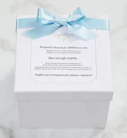 Magnificent Roses® Preserved Kaleidoscope Reflection -Gift Promotion Store 190406alt view2c