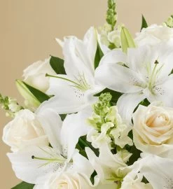 Classic All White Arrangement™ For Sympathy -Gift Promotion Store 191165alt viewc