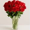 Two Dozen Red Roses In Luxury Posh™ Vase