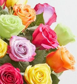Assorted Roses In Luxury Posh™ Vase 9 Assorted Roses In Luxury Posh™ Vase -Gift Promotion Store 192216alt viewc