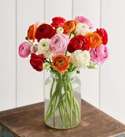 Radiant Ranunculus Bouquet -Gift Promotion Store 194003mjwv1x 1