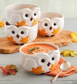 Fall Owl Soup Bowls - Set Of 4 -Gift Promotion Store 24 0021847 30H 11 016x 1
