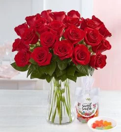 Two Dozen Red Roses -Gift Promotion Store 90926mv24cn3x
