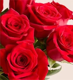 Two Dozen Red Roses In Luxury Posh™ Vase -Gift Promotion Store 91739alt view1c
